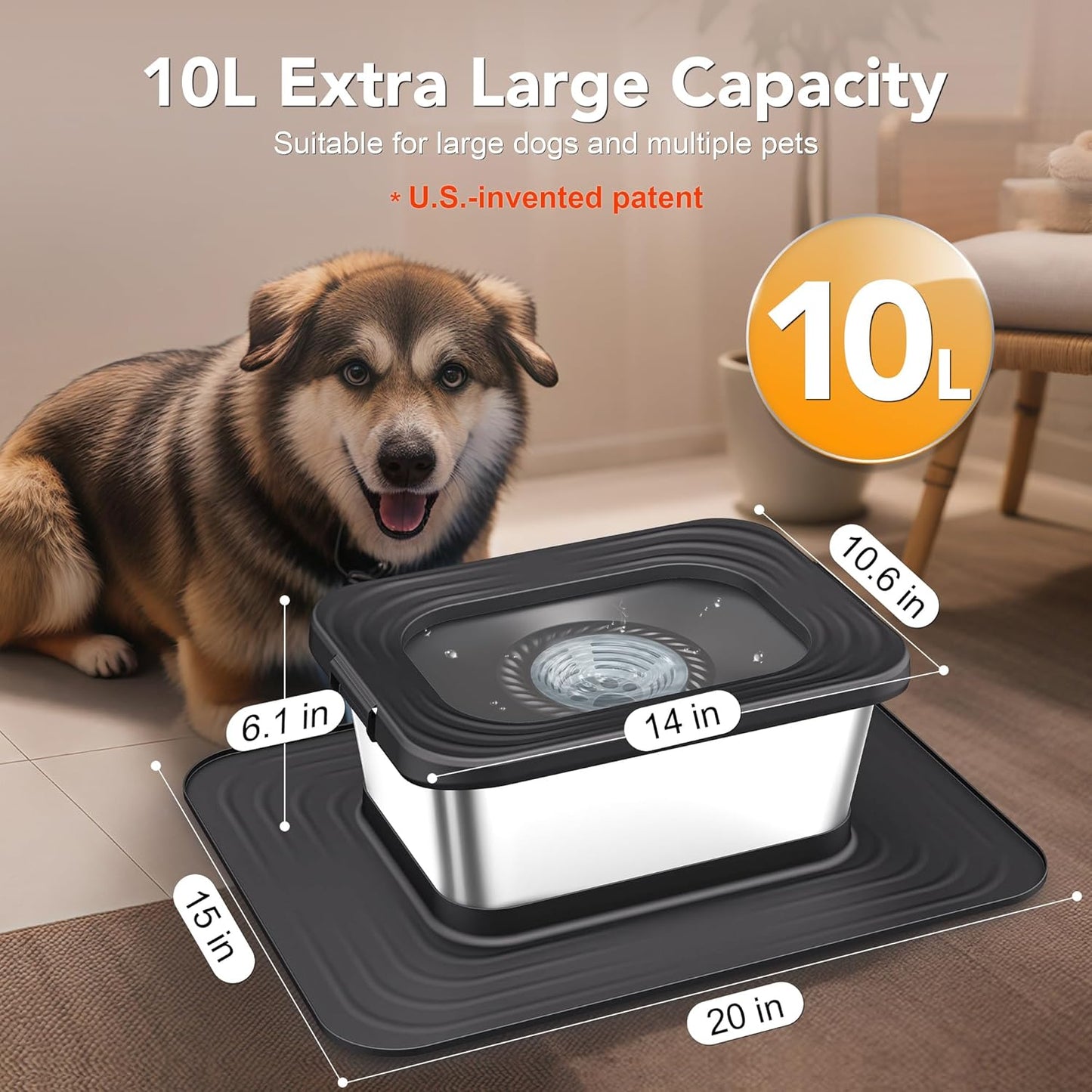 Stainless Steel Dog Water Bowl