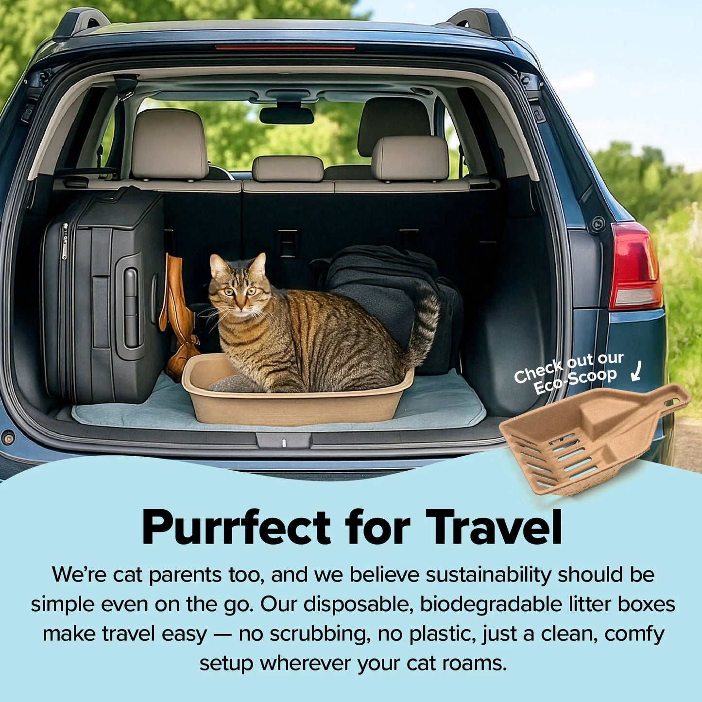 Large Cat Sifter, Eco-Friendly Litterbox with Scoop - Pack of 6