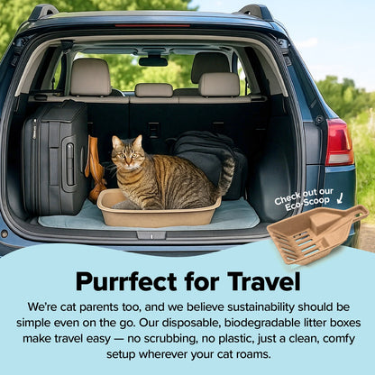 Large Cat Sifter, Eco-Friendly Litterbox with Scoop - Pack of 6