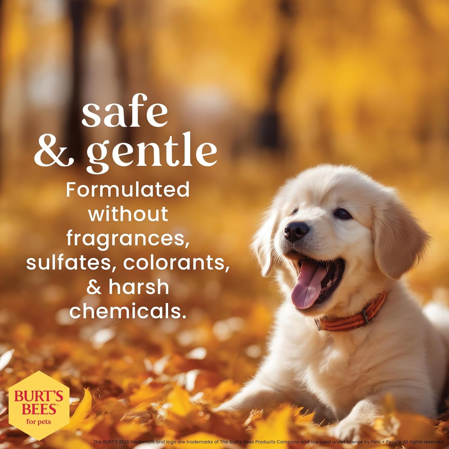 Puppies Natural Tearless 2 in 1 Shampoo and Conditioner | Made with Buttermilk and Linseed Oil | Best Tearless Puppy Shampoo for Gentle Skin and Coat | Made in USA, 16 Oz
